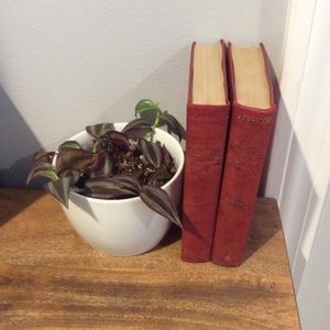 Coffee Table Book Bundle